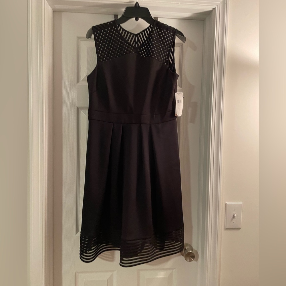 Black Sandra Darren dress, new with tags